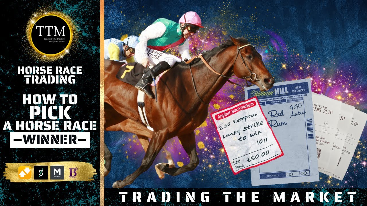 Learn How To Pick A Horse Race Winner