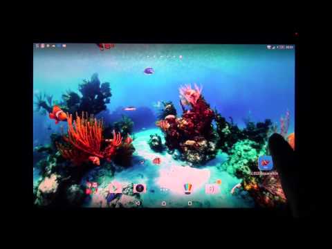 Trial Aquarium 360 LWP Video