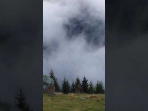 pleqjen e Isniqit  te deqanit