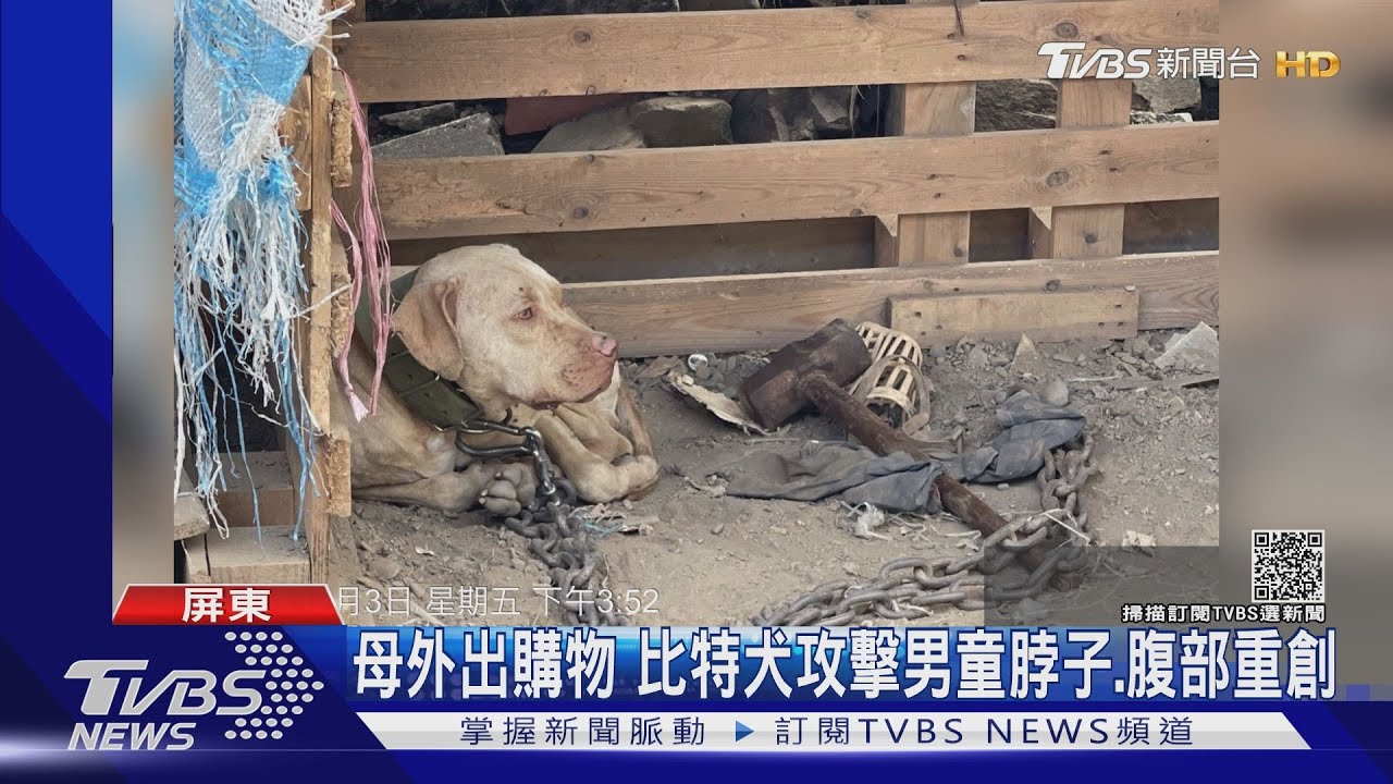 屏東春日3歲男童遭比特犬咬死 狗沒登記將安樂死飼主受罰、法辦
