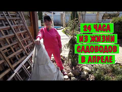 Если много делать, можно много успевать! Новые кадки для растений. Обрезка и подвязка плетистых роз.