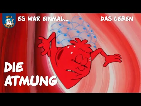 Die Atmung (Es war einmal... das Leben | Ausschnitt)