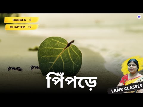 Chapter 12 Pipre by Amiya Chakraborty | পিঁপড়ে অমিয় চক্রবর্তী