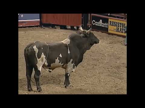 PBR 1999: David Fournier Does a Cartwheel off Cash