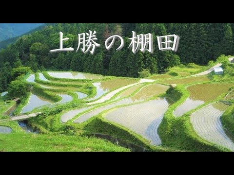 つなぐ棚田遺産【徳島県勝浦郡上勝町】