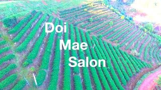 Drone Video: Doi Mae Salon, Chiang Rai (Thailand)