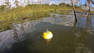 Pescaria caipira de tucunaré no Rio grande esse técnica vai dar oq falar parece fácil 