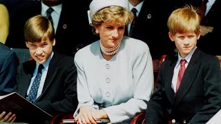 ‘Grotesque exploitation’: Prince Harry uses Princess Diana’s death to sell documentary