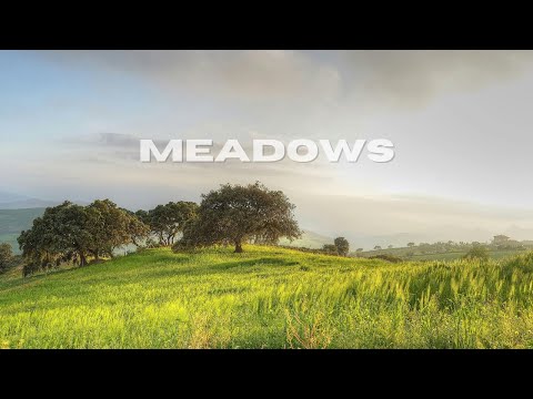 meadows Instrumental - 1 hour loop (Khamir Music)