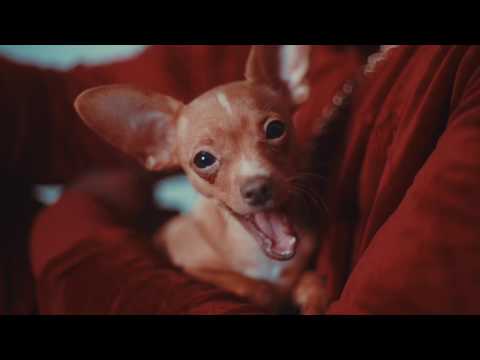 IZZY-S - MA MELODIE (PROD BY. COLDBEATXZ)