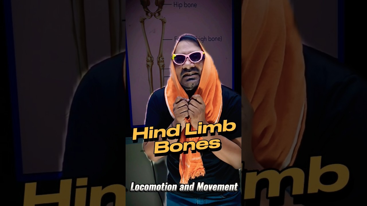 ⚡ Trick to Remember Hind Limbs Bones / Feet Locomotion and Movement Biology NEET Entrance Exam ❤️