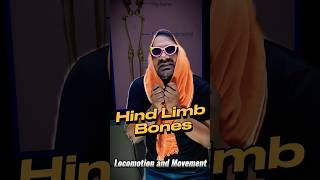 ⚡ Trick to Remember Hind Limbs Bones / Feet Locomotion and Movement Biology NEET Entrance Exam ❤️