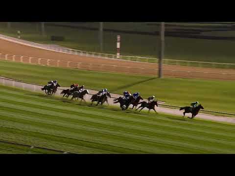 Dubai World Cup 2019: Dubai Turf Race Replay - Almond Eye (JPN)