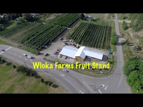 Wloka Farms Fruit Stand