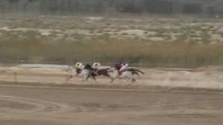 preview picture of video 'Arabian Horse Race: Malik Du Bac 13th Week Race, 2008'