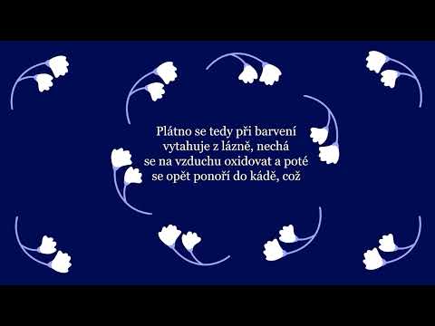 MMT VOŠ Explainer animace