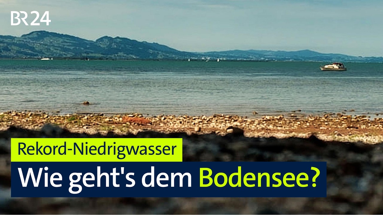 Sommer am Bodensee: So niedrig war der Wasserstand noch nie I BR24 vor Ort