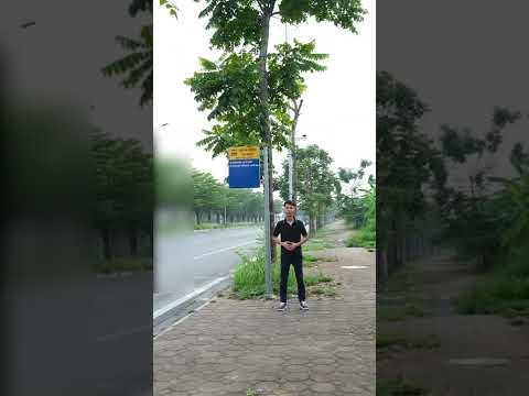 Ônibus Xe Hà Nội