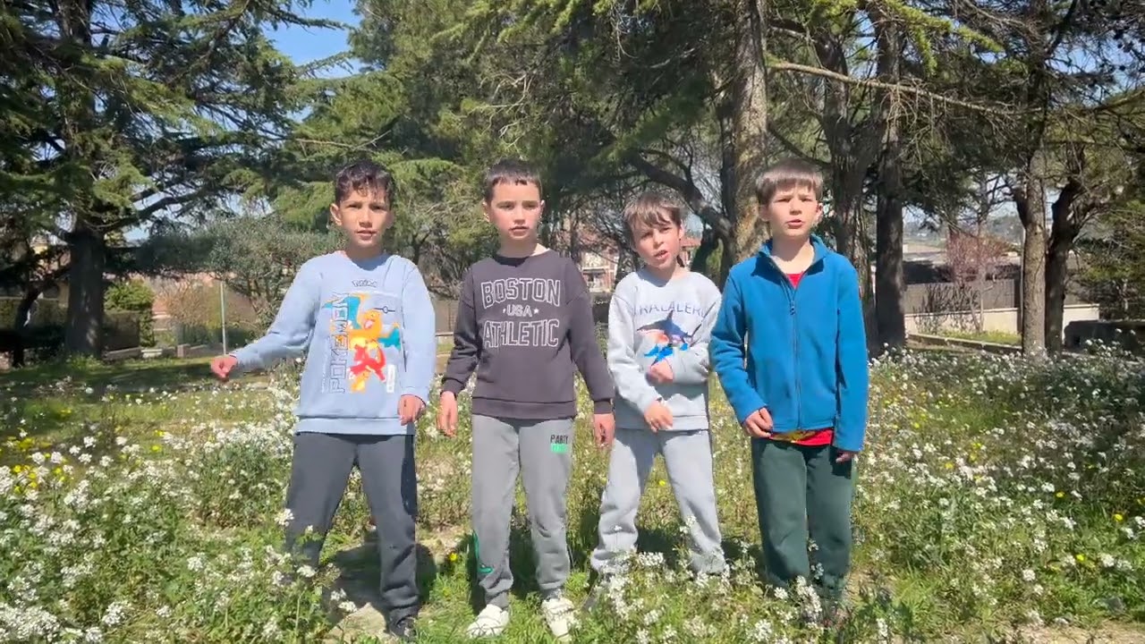 Què podem fer per ajudar al gall Fer?