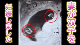 この度双子のパパになります！妻の妊娠発覚エピソード