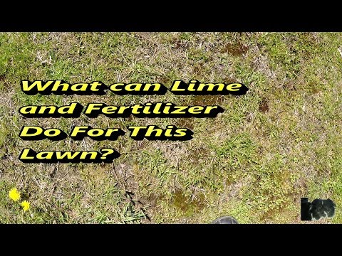 image-Can you lime and fertilize your lawn at the same time?