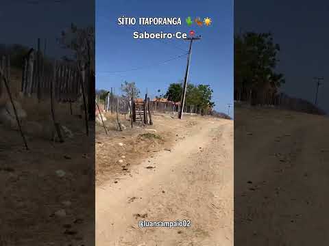 Sítio Itaporanga Saboeiro-Ce 🌵🍂☀️📍#viral #youtubeshorts #interior #sertão #nordeste