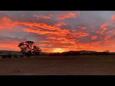 BOHEMIAN RHAPSODY (LOU MAI)