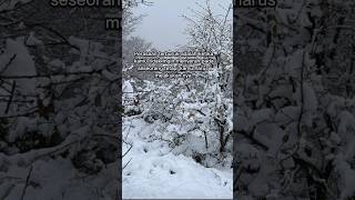 Download lagu fenomena kehidupan..#Video Kata #shortvideo mp3 Download lagu fenomena kehidupan..#Video Kata #shortvideo mp3