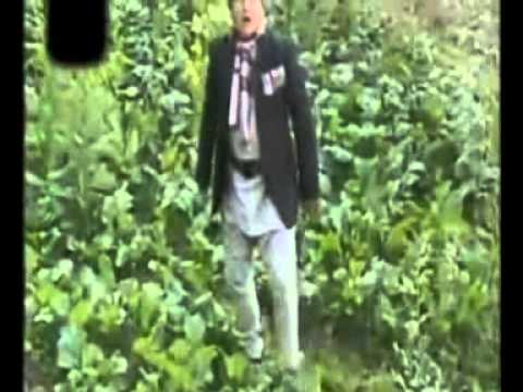 Meri Bassai.....takme budha