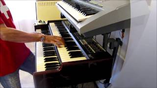 L 'HAN DETTO ANCHE GLI STONES ( LIGABUE-BASSOTUBA53 )