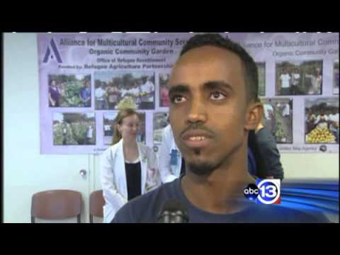 ASFHG: Health Professionals Volunteer for Refugees