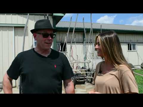 August 6, 2022 - Jessica Otten talks to Jim Campbell about Hambo hopefuls