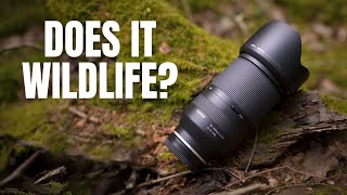 TAMRON 70-180 2.8 from a WILDLIFE Photography Perspective - Lens Review