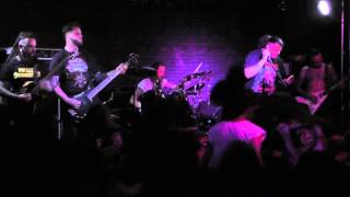 Finally Doomsday - Vida Animal (Ratos de Porão Cover)