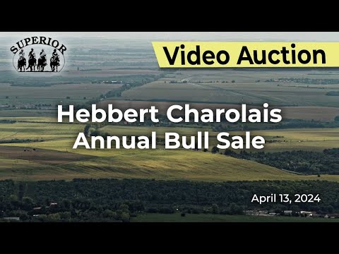 Hebbert Charolais Annual Bull Sale