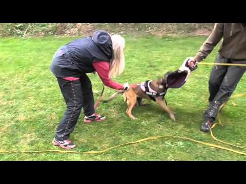 DeeDee Kribar 6months