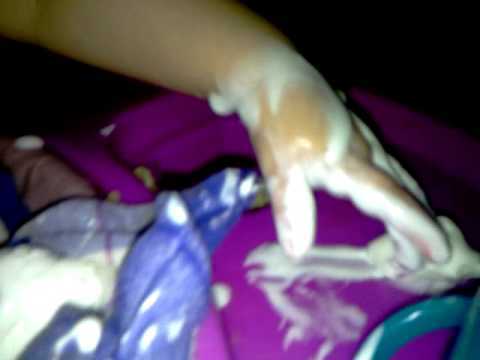 Russisches Eis für Isabella