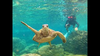 プライベートツアーで行くノースショアー夏バージョン
