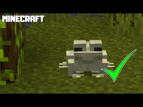 MINECRAFT | How to Find FROGS! 1.19.1