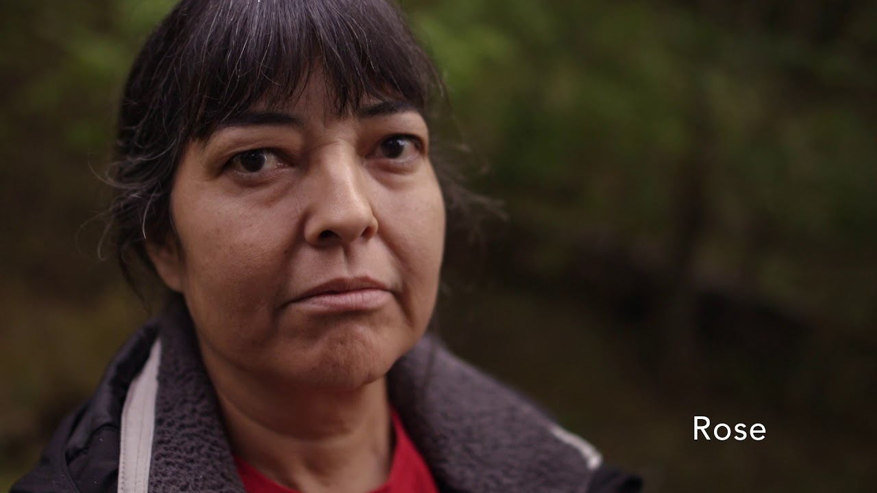 Birth of a Family Trailer