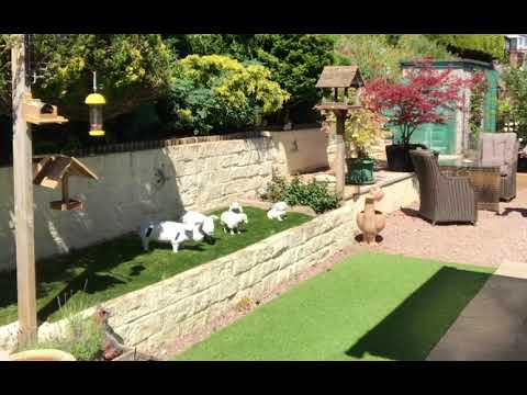 When to use levitation in table tennis