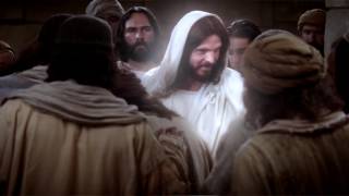 Nathan Pacheco   Forever