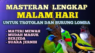 Download lagu 2 jam masteran lengkap untuk trotol dan burung lapangan kombinasi mewah mudah masuk mp3 Download lagu 2 jam masteran lengkap untuk trotol dan burung lapangan kombinasi mewah mudah masuk mp3