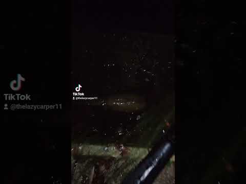 when one blesses your net on a new venue on your first session 💥💥💥💥 #carp #fishing #carpfishing #sub