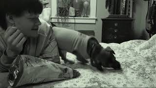 Instructions on how to be happy