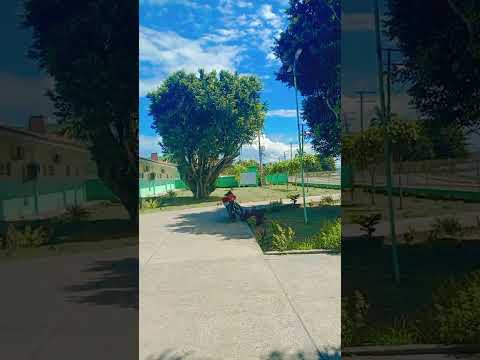 município de anamã Estado do Amazonas