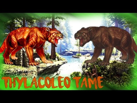 ARK | THE ISLAND | TAMING A  THYLACOLEO | SOLO