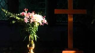 God has smiled on me  by  Afroman