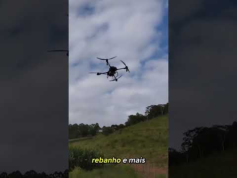 Chegamos à Fazenda Dom Bosco localizada em Viçosa Minas Gerais, produtora de leite, queijos e ov