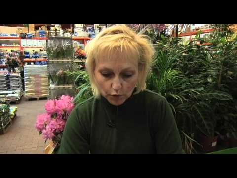 Trädgårdstips del 3 - Gödsel